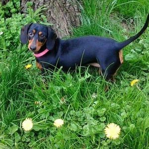 Meet your Posher, Amber